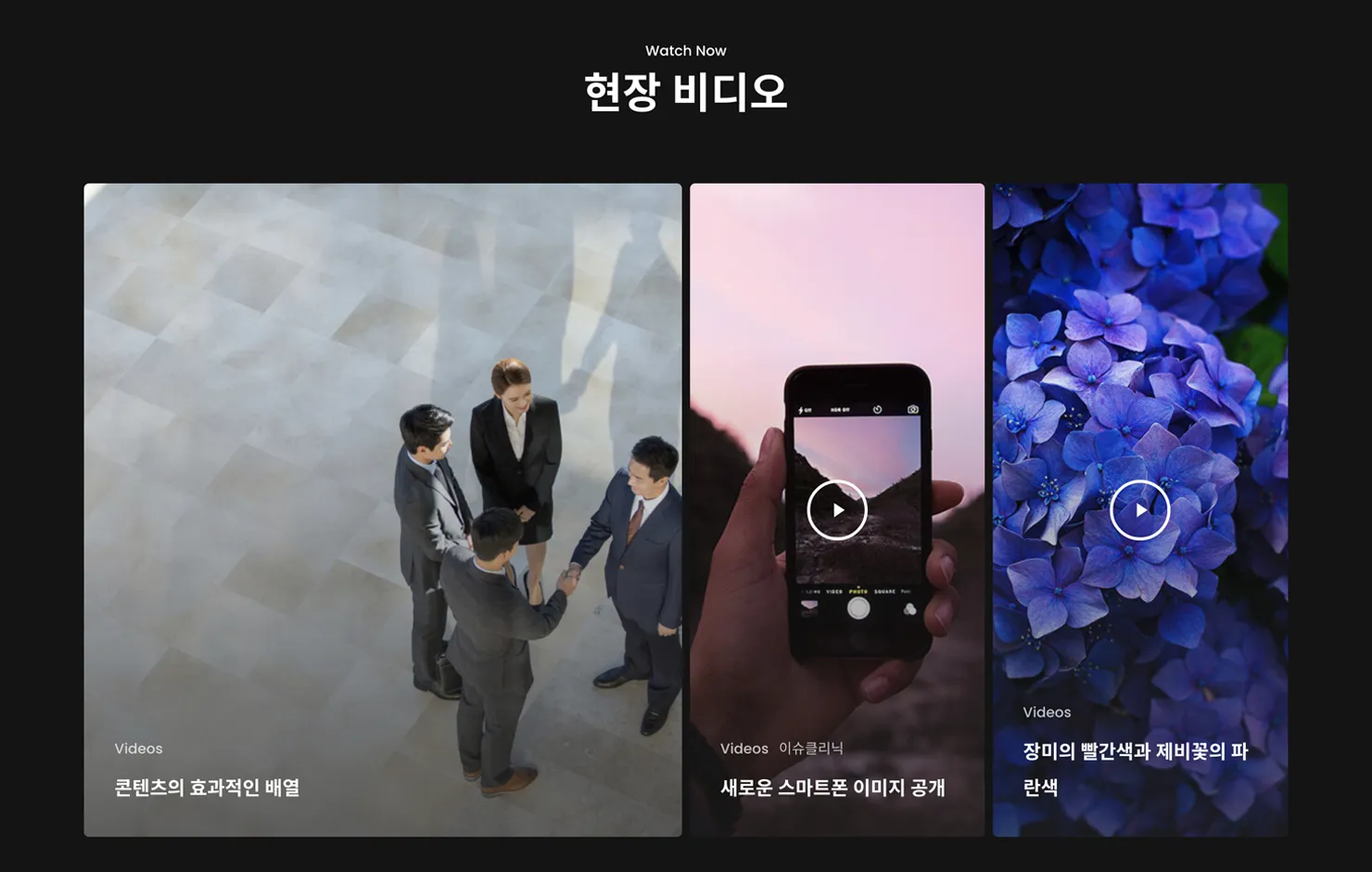 메인 화면 비디오