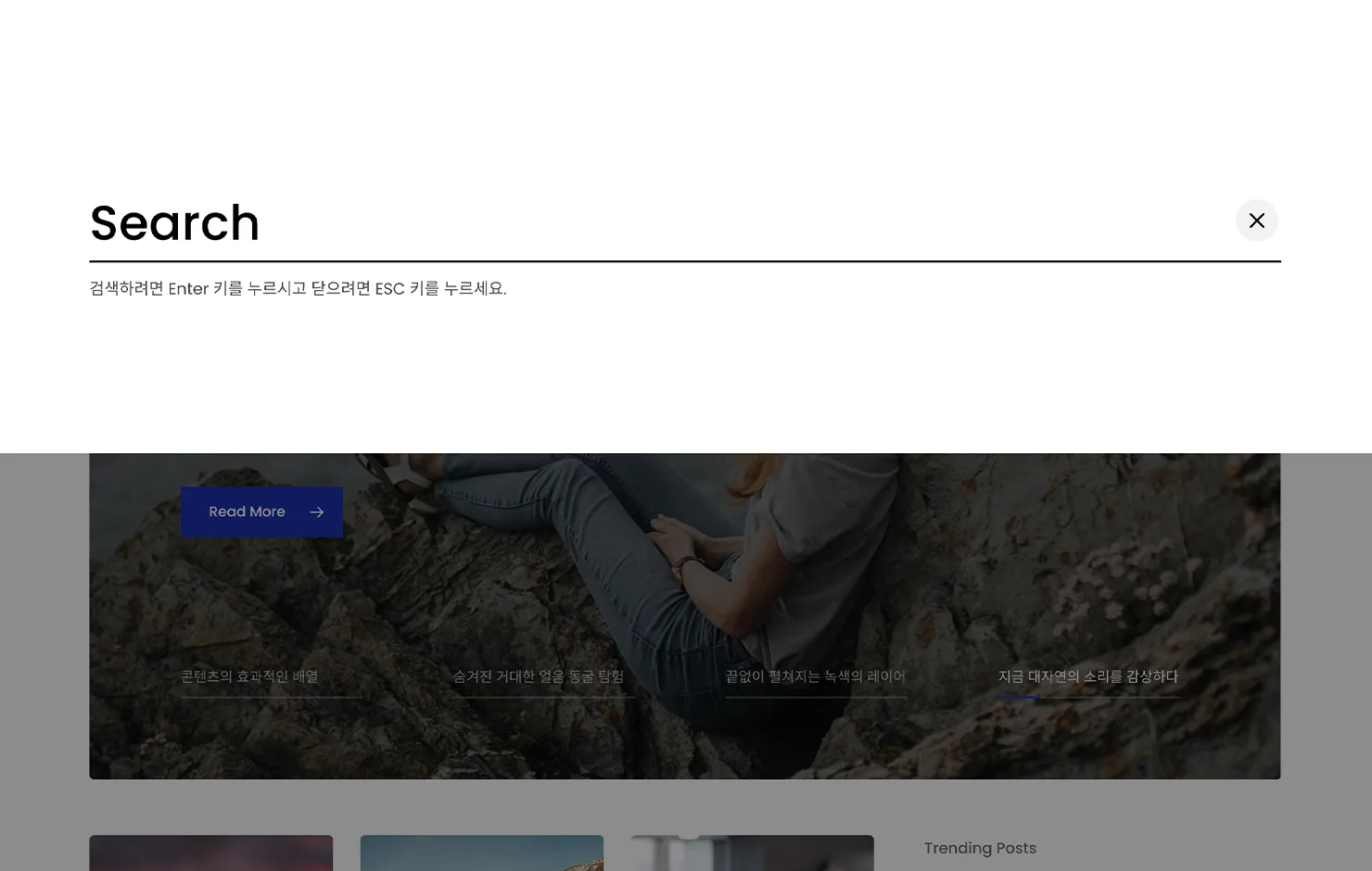 메인 화면 검색 창